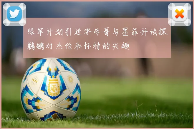 绿军计划引进字母哥与墨菲并试探鹈鹕对杰伦和怀特的兴趣